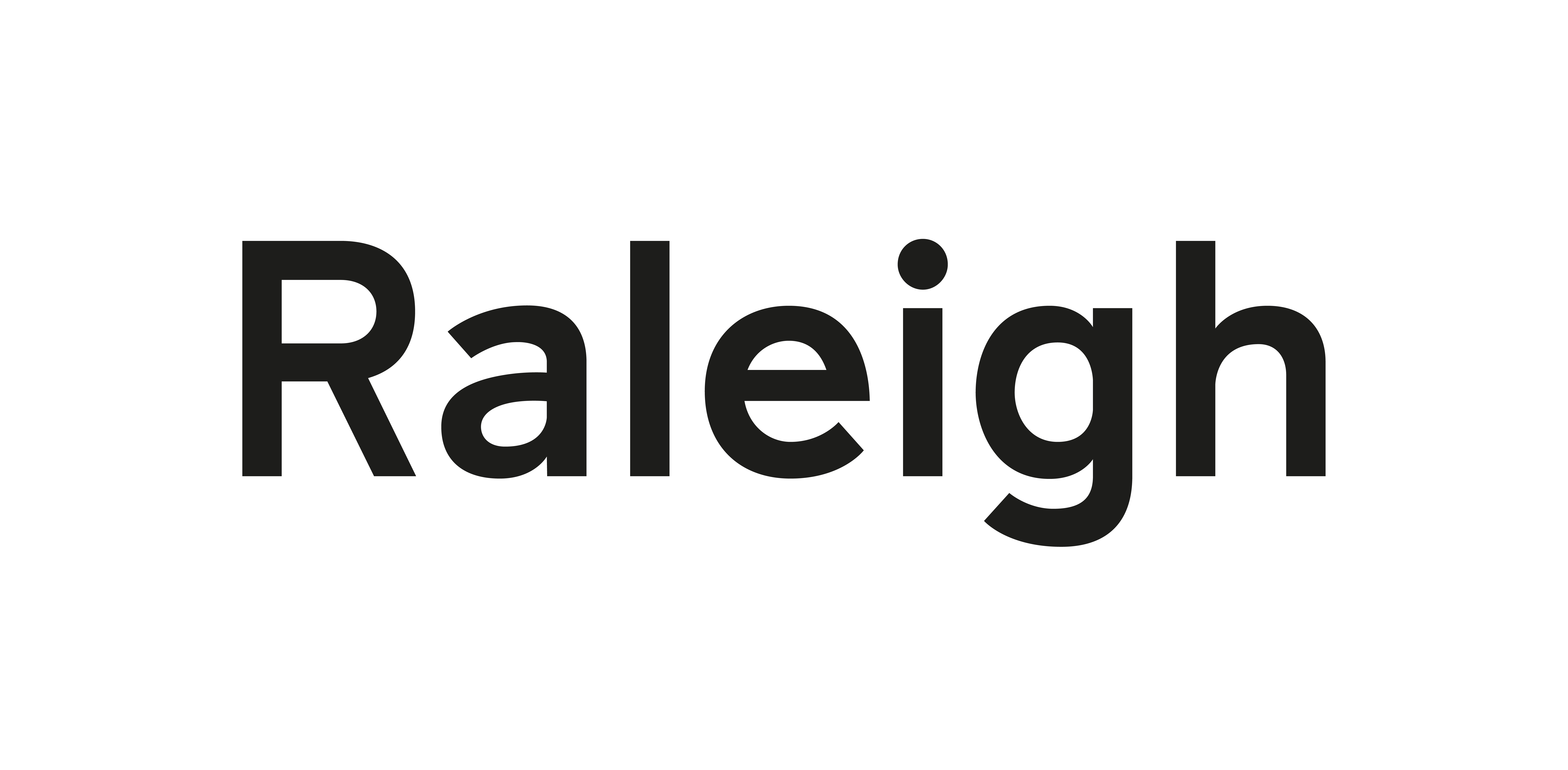 Raleigh project image 1