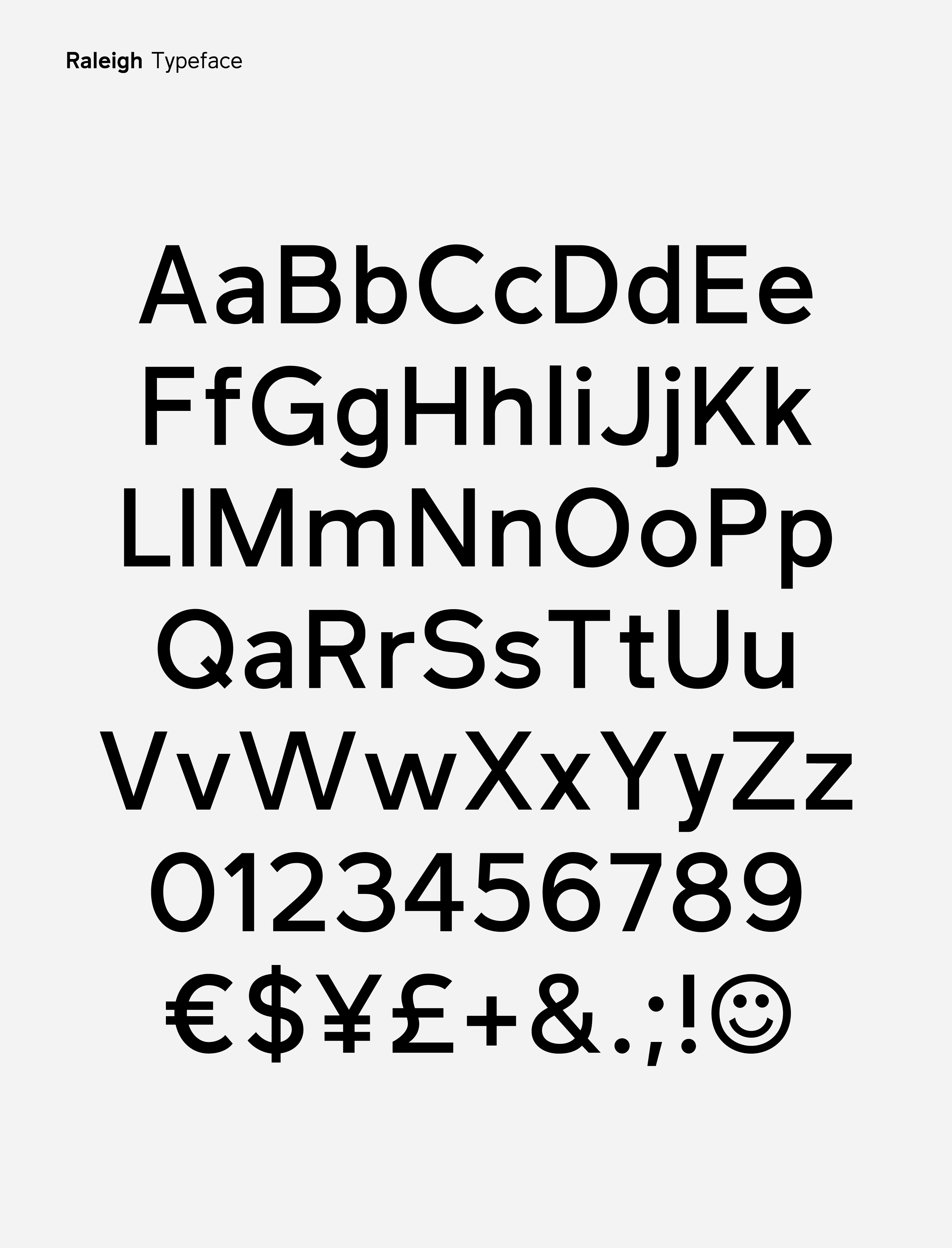 Raleigh project image 2